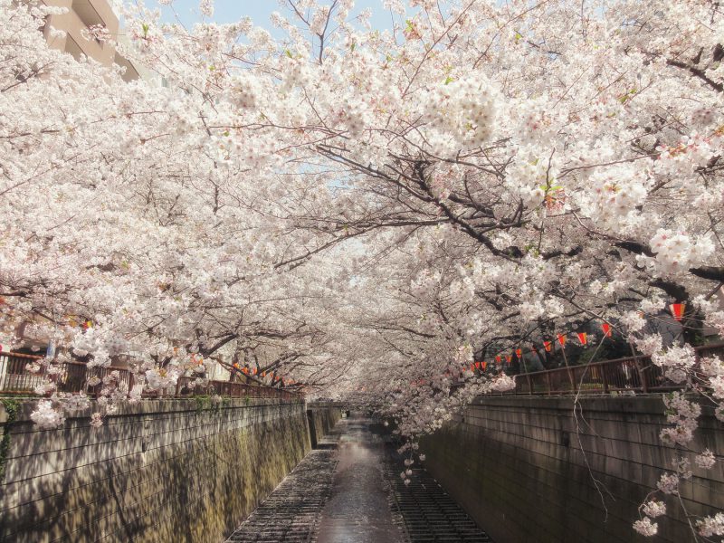 Read more about the article はじめました！