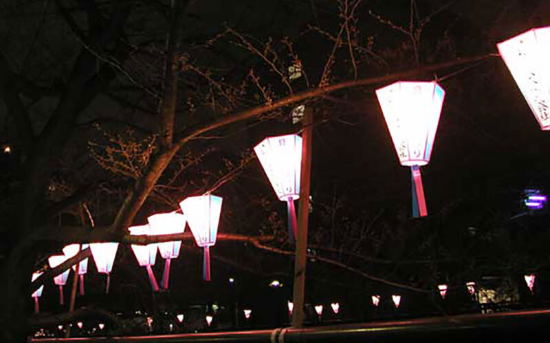 目黒川の桜 2007 #2