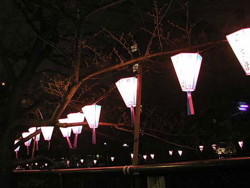 Read more about the article 目黒川の桜 2007 #2