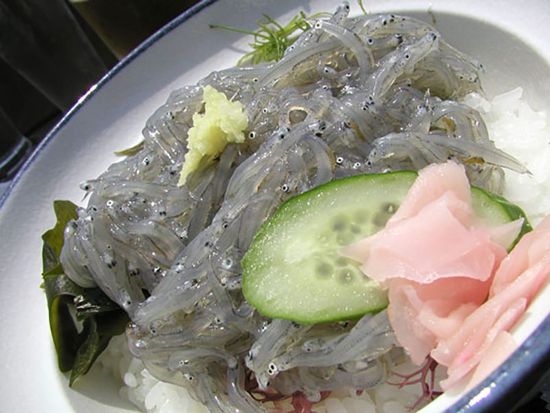 Read more about the article 今年も、江の島で生しらす