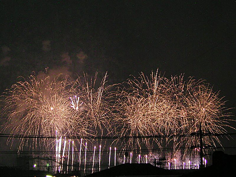 Read more about the article たまがわ花火大会 2008