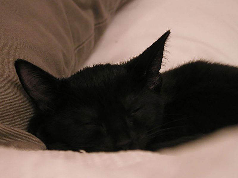 Read more about the article Bay