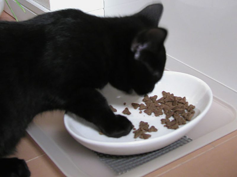 Read more about the article Jasmine Tea