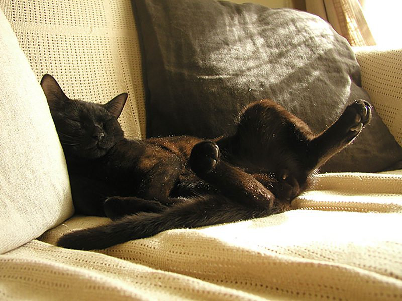 Read more about the article 気持ちいい～