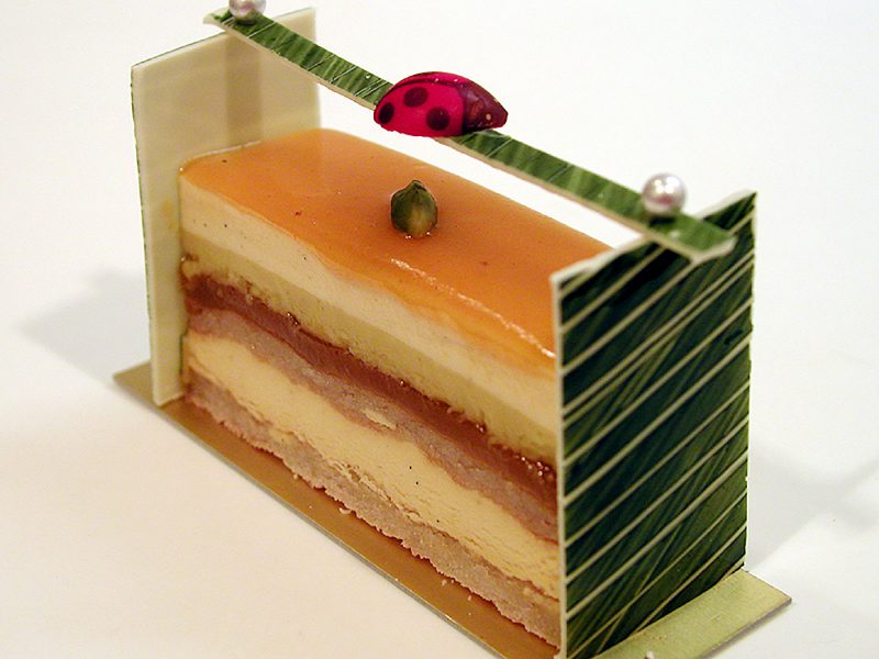 Read more about the article Coccinelle