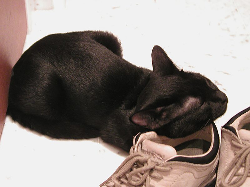 Read more about the article 1歳になりました