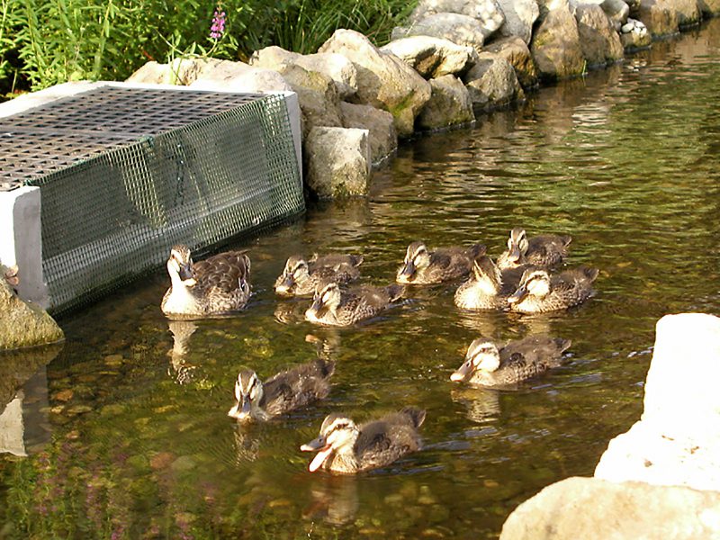 Read more about the article 梅雨明け