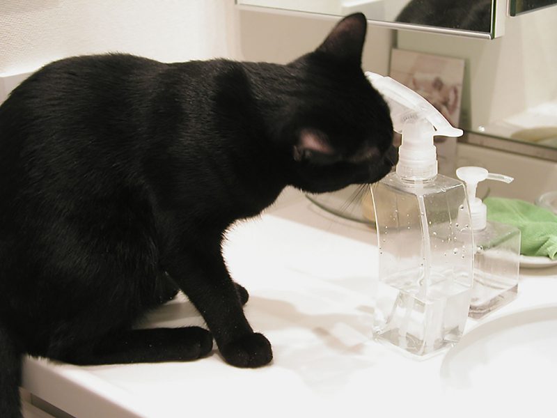 Read more about the article 水遊び