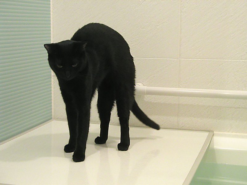 Read more about the article この時期は、やっぱり暖かいのがいい～