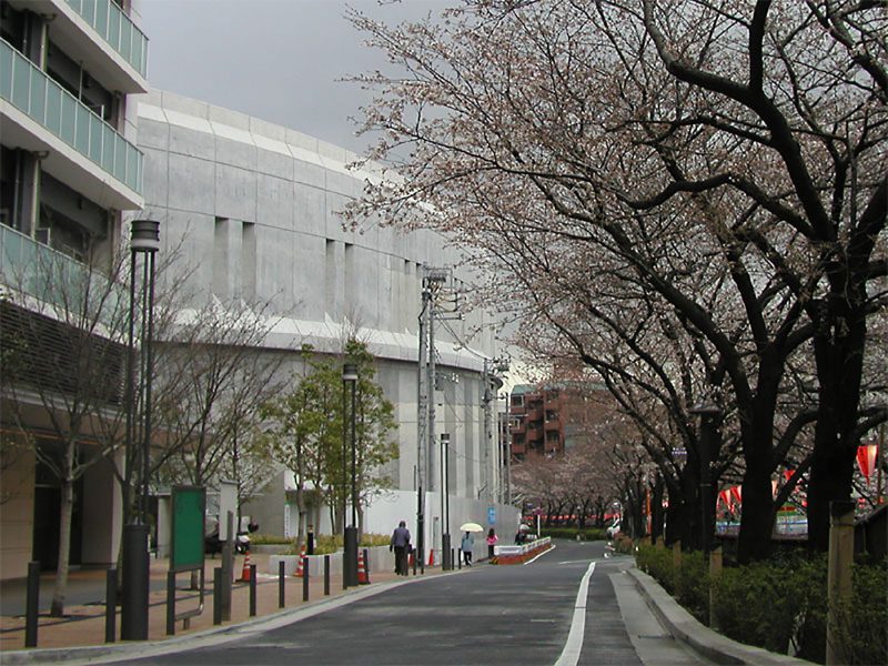 Read more about the article 目黒川の桜 2010 #3