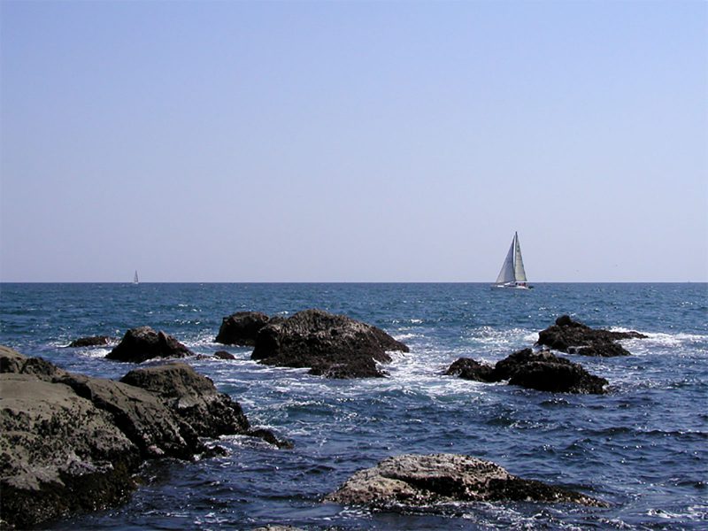 Read more about the article 2010年の春も、やっぱり江の島で生しらす！