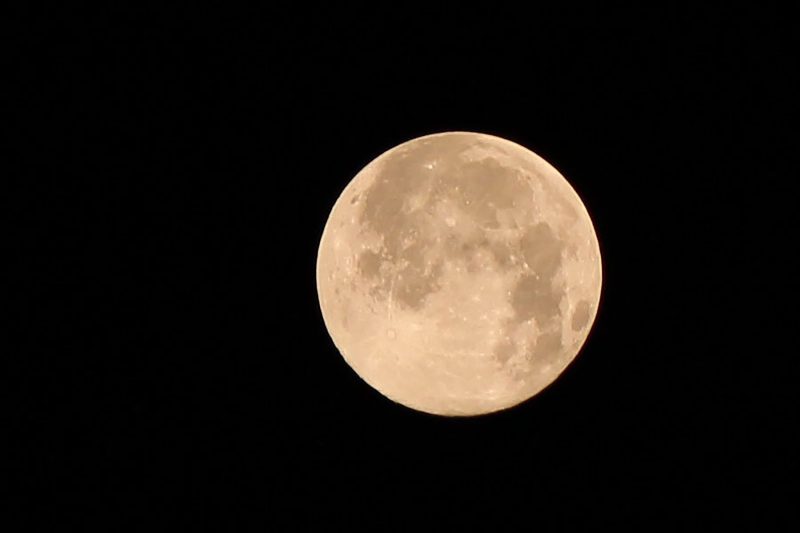 Read more about the article ブルームーン