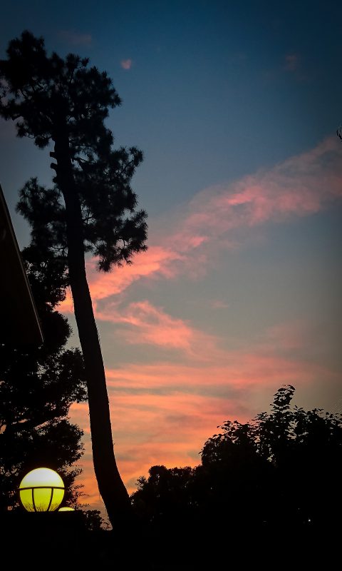 Read more about the article 久しぶりの夕焼け