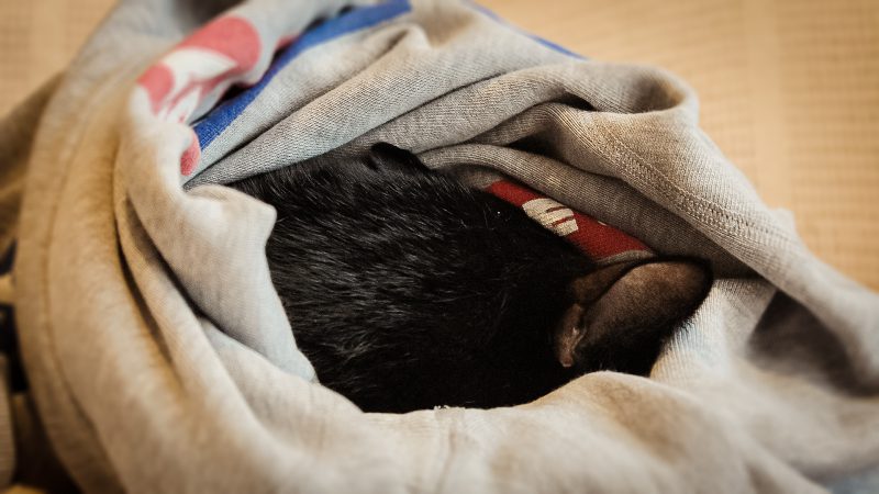 Read more about the article ベイのあったかさ。