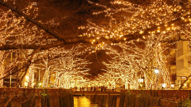 Read more about the article Nakameguro illumination 2016
