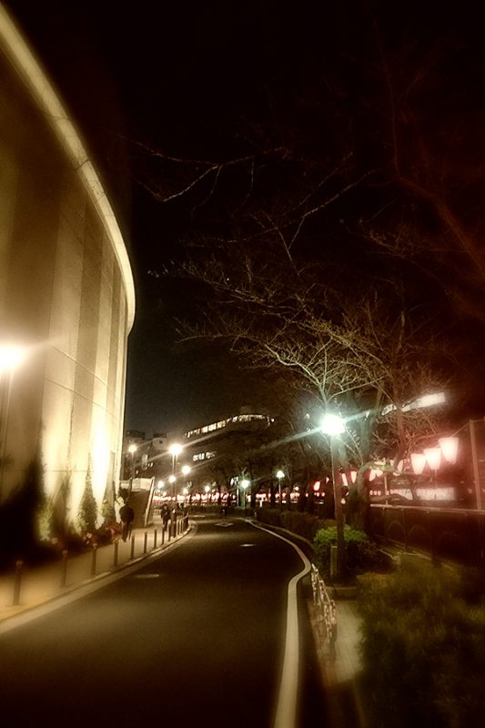 Read more about the article 目黒川の桜 2017 #03：誰もいない