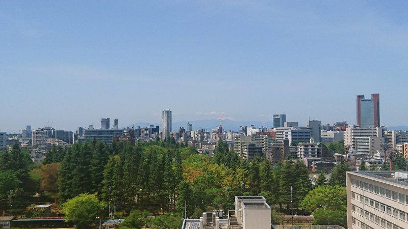 Read more about the article やっぱりウチがいい