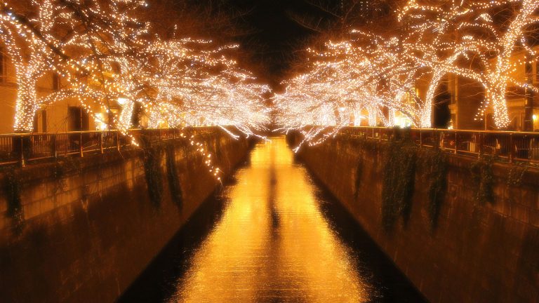 Read more about the article Nakameguro illumination 2017