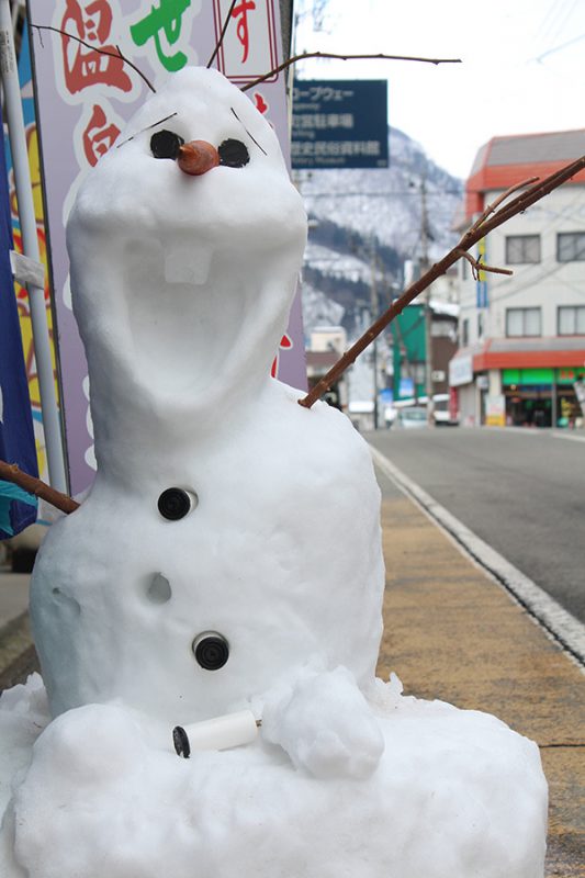 Read more about the article SURF＆SNOW in Naeba Vol.36