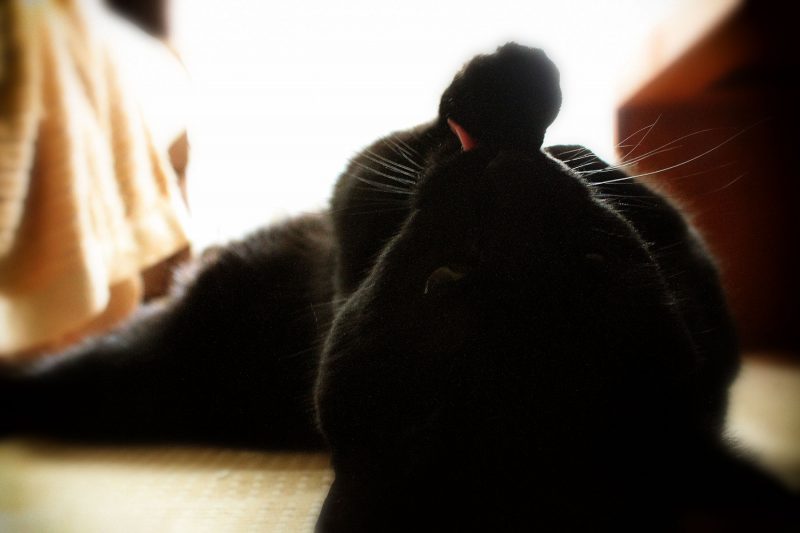 Read more about the article Happy New Year 2018