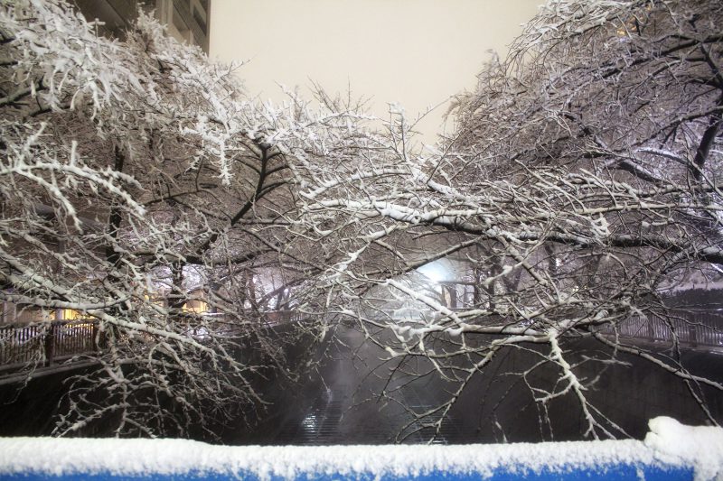 Read more about the article 2018.1.22 都心大雪