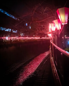 Read more about the article 目黒川の桜 2025 #02：ぼんぼり点灯