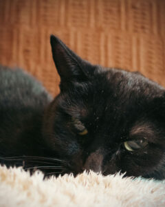 Read more about the article もちろん正面も好き